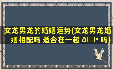 女龙男龙的婚姻运势(女龙男龙婚姻相配吗 适合在一起 🌺 吗)